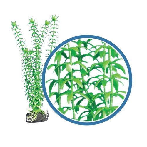 Weco, Weco Products Freshwater Pro Series Tonina Aquarium Plant, Green,  9 Inches