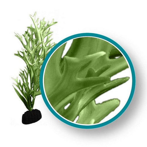Weco, Weco Products Marine Pro Series Giant Kelp Aquarium Plant, Green,  12 Inches, Giant