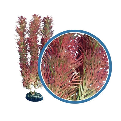 Weco, Weco Products Freshwater Pro Series Cabomba Aquarium Plant, Red,  18 Inches