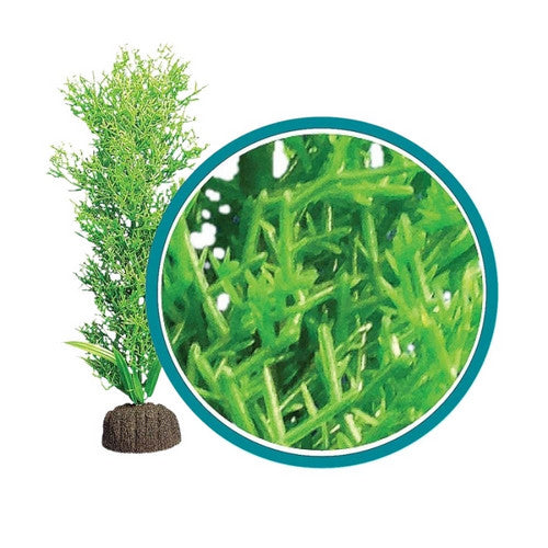 Weco, Weco Products Marine Pro Series Bushy Kelp Aquarium Plant, Green,  18 Inches