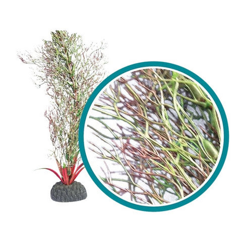 Weco, Weco Products Marine Pro Series Fine Branch Kelp Aquarium Plant, Green,  18 Inches