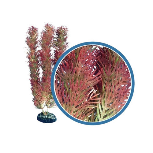 Weco, Weco Products Freshwater Pro Series Cabomba Aquarium Plant, Red,  24 Inches