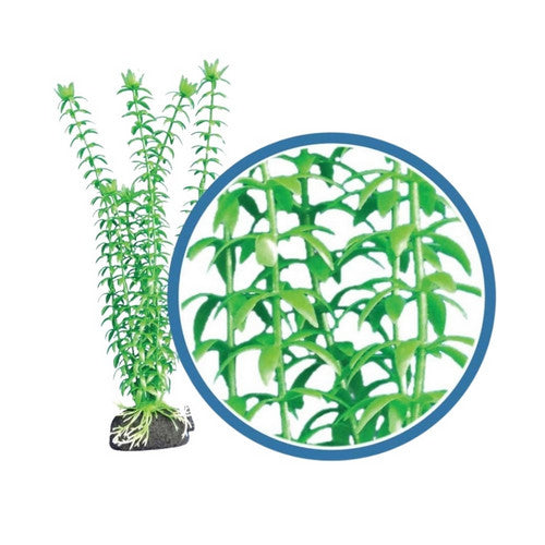 Weco, Weco Products Freshwater Pro Series Tonina Aquarium Plant, Green,  24 Inches