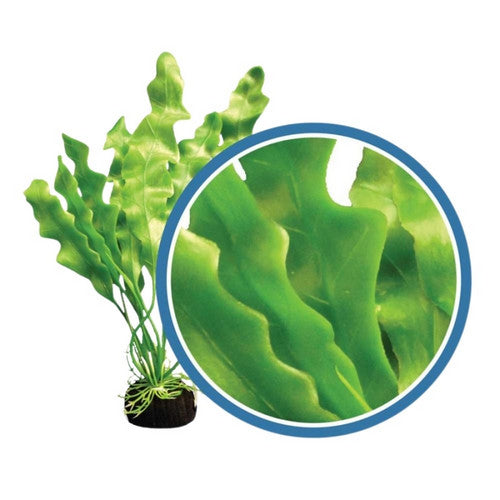 Weco, Weco Products Freshwater Pro Series Amazon Ruffled Sword Aquarium Plant, Green,  24 Inches