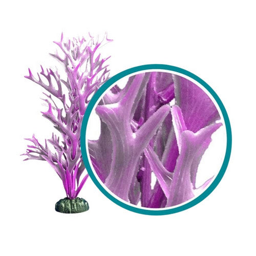 Weco, Weco Products Marine Pro Series Giant Kelp Aquarium Plant, Purple,  24 Inches, Giant