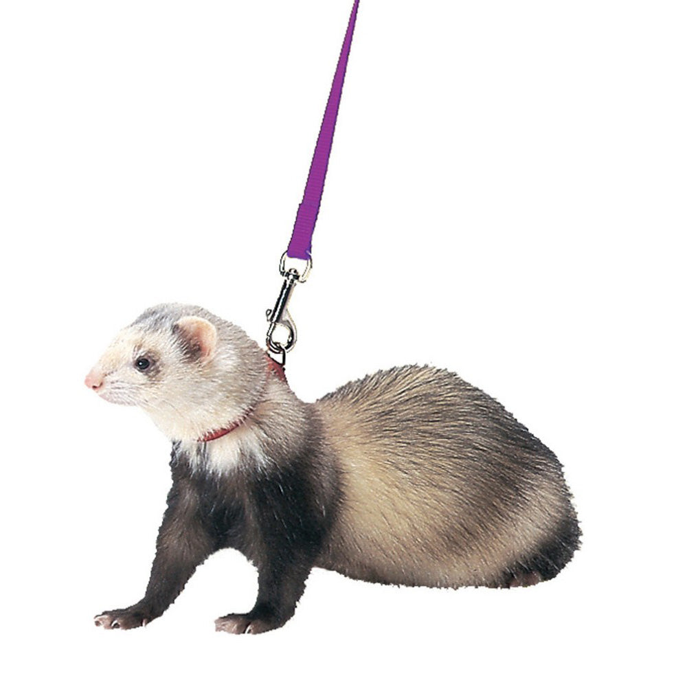 Marshall, Marshall Pet Products Ferret Harness and Lead Set, 1 Each / Purple
