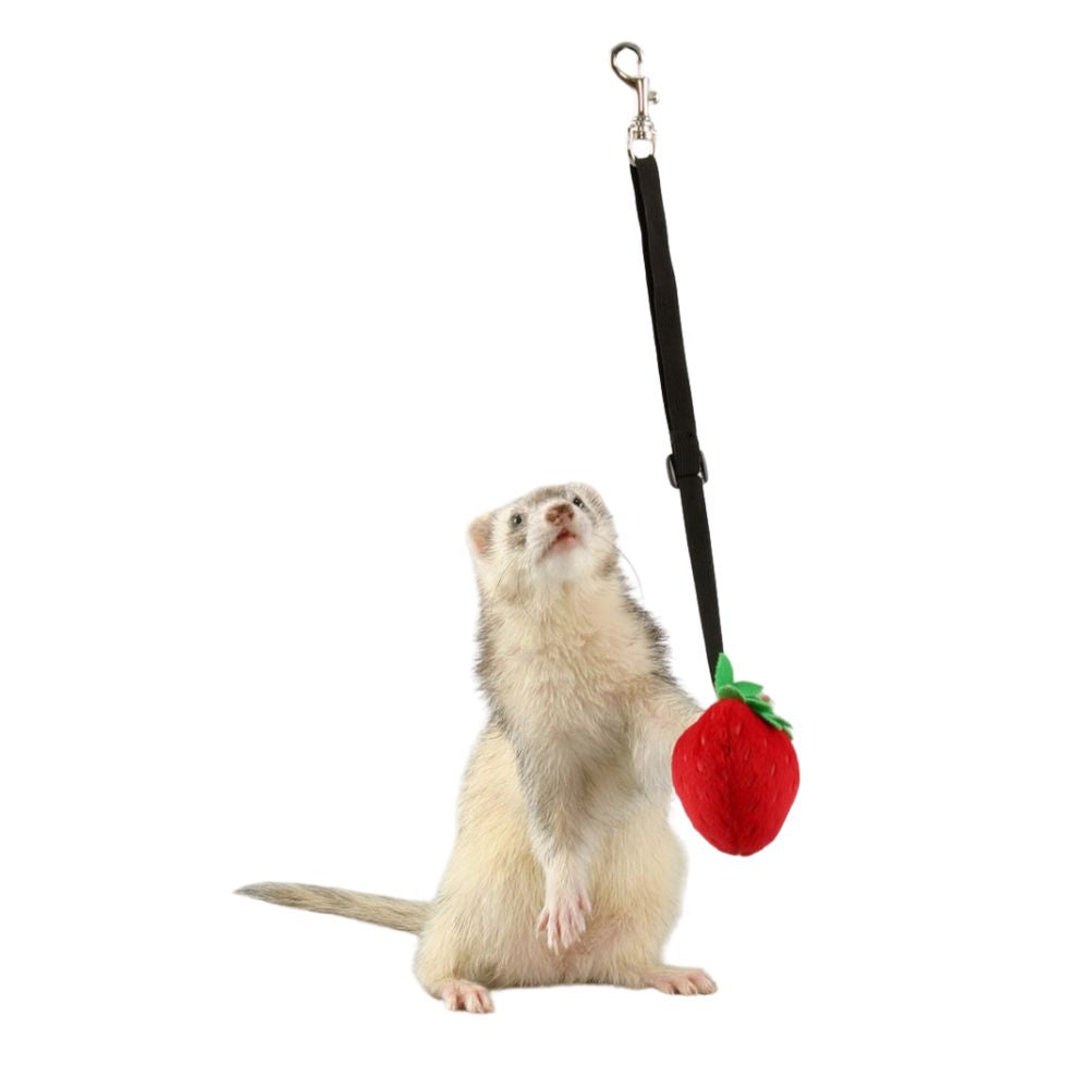 Marshall, Marshall Pet Products Ferret Bungee Toy, 1 Each / Platypus, Pink