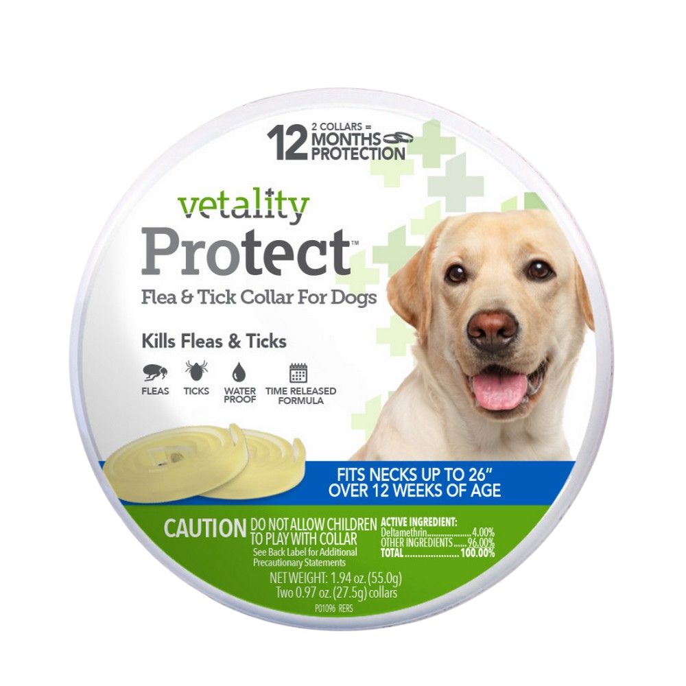 Vetality Protect Flea & Tick Dog Collar 1 Each by Vetality