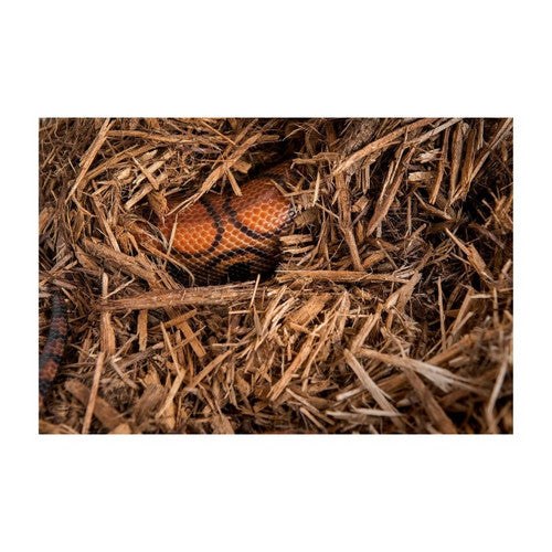 Galapagos, Galapagos Cypress Tank Mulch Natural Cypress Bedding Substrate, Brown,  8 Quarts