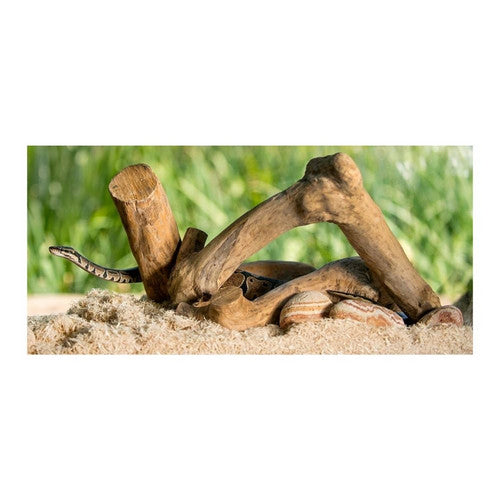 Galapagos, Galapagos Aspen Digs Natural Aspen Bedding Substrate, Tan,  8 Quarts