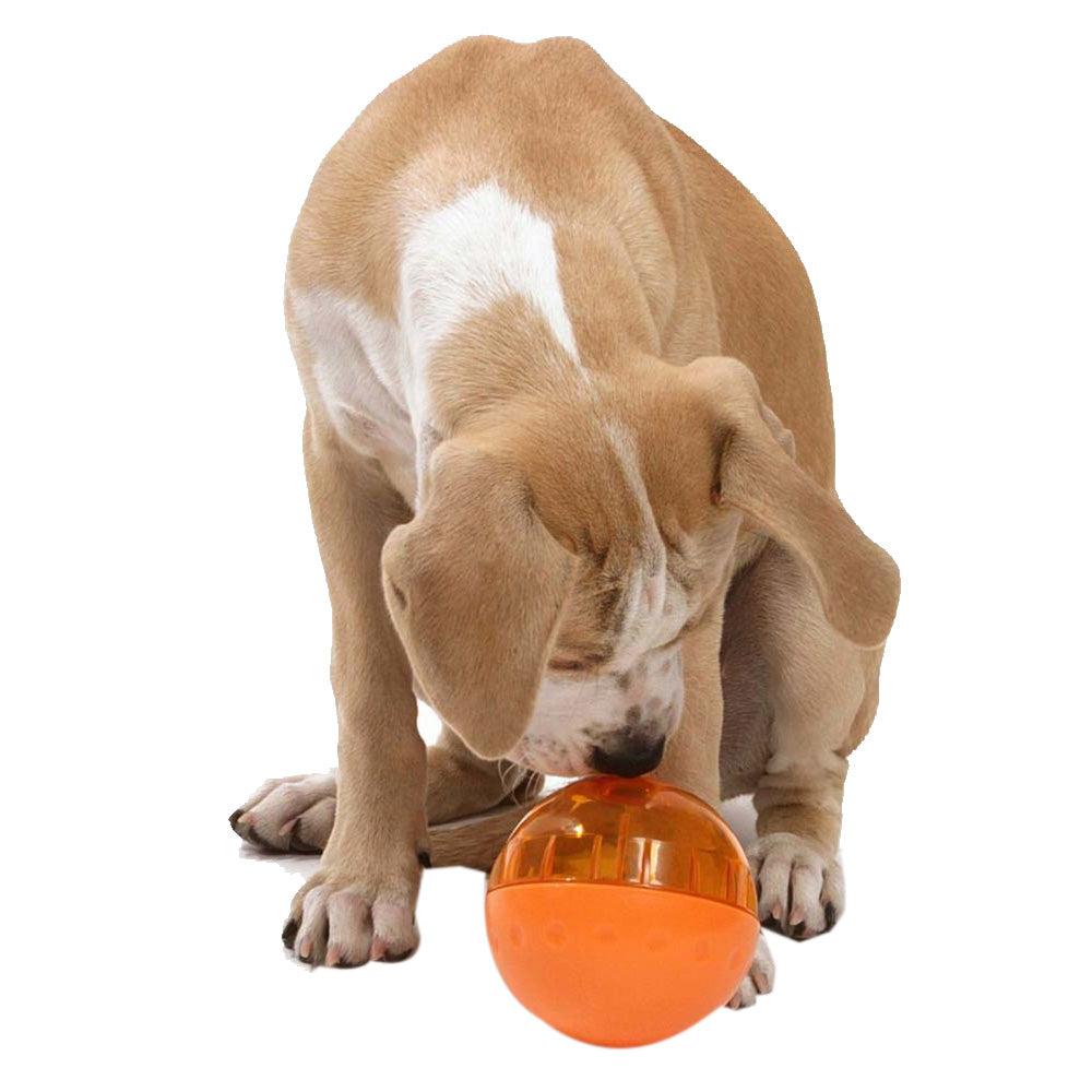 OurPets, OurPets IQ Treat Ball Slow Feed Dog Toy, 1 Each / 4 Inches / Large, Assorted