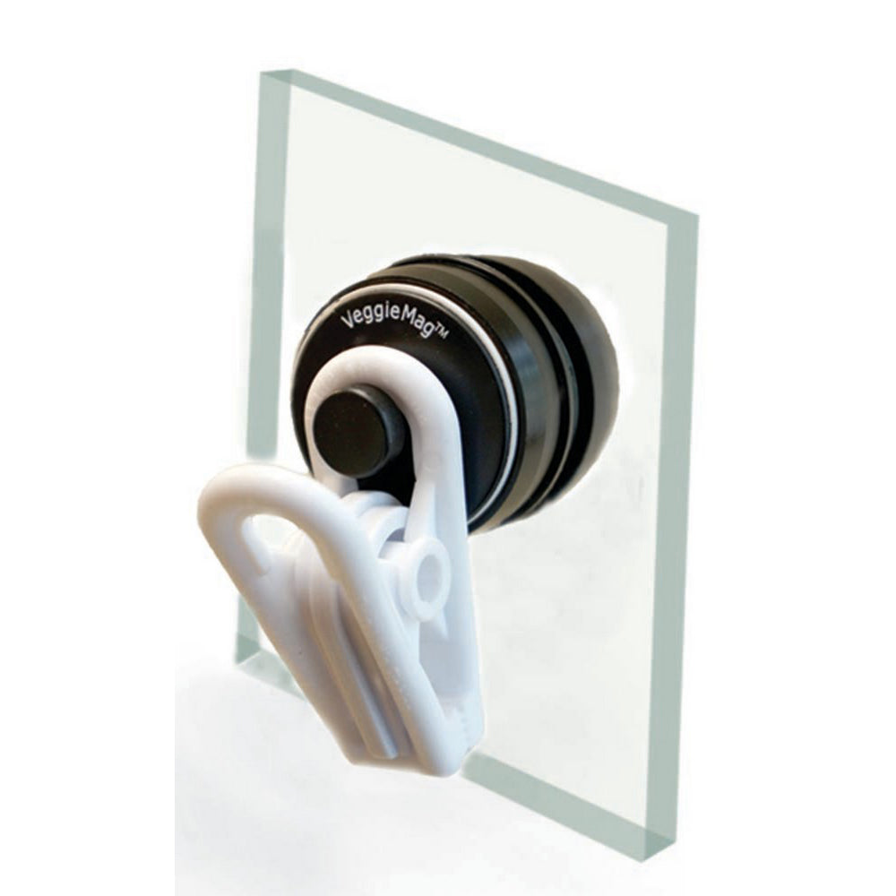 Two Little Fishies, Two Little Fishies VeggieMag Magnetic Feeding Clip, 1 Each / White, Clear, Black