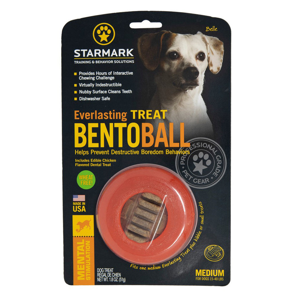 Starmark, Starmark Everlasting Treat Bento Ball Dog Chew Toy, 1 Each / Medium