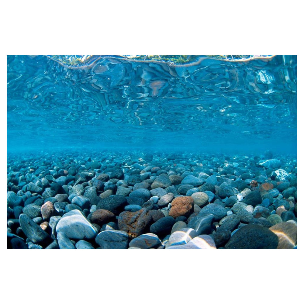 Seaview Double Sided Background River Rock & Sea of Green,  12 Inches X 50 Feet by Seaview