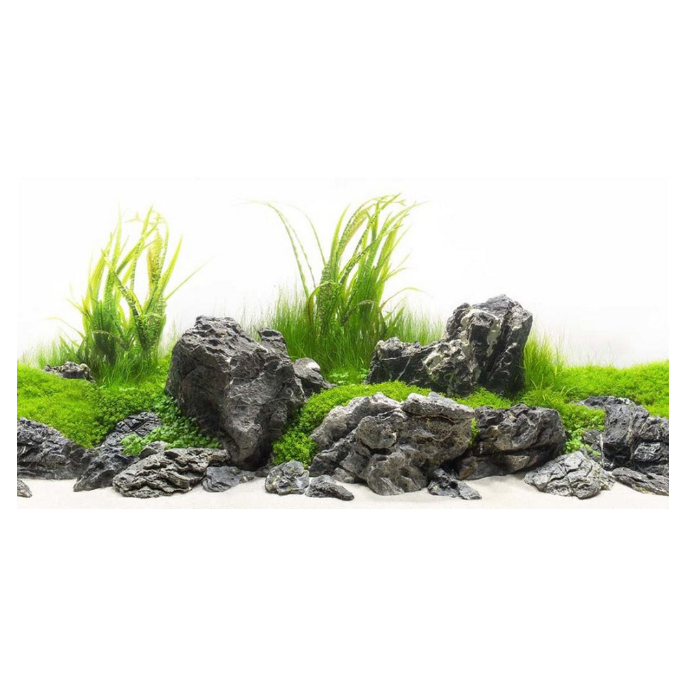 Seaview Double Sided Background Amazonia & Green Spike,  12 Inches X 50 Feet by Seaview