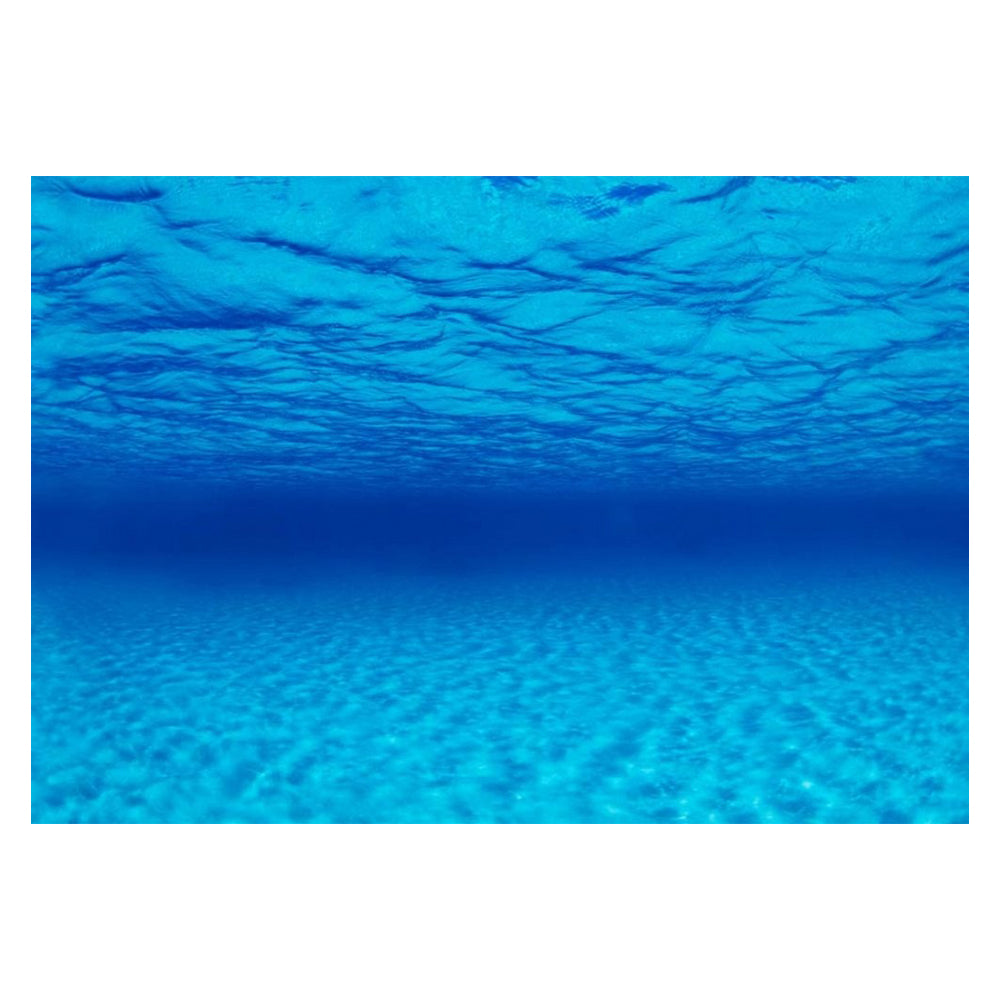 Seaview Double Sided Background Seascape & Natural Mystic,  24 Inches X 50 Feet by Seaview