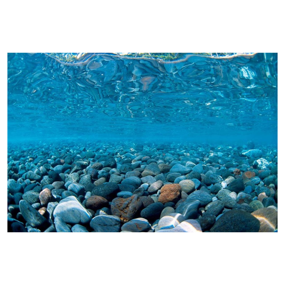 Seaview Double Sided Background River Rock & Sea of Green,  24 Inches X 50 Feet by Seaview