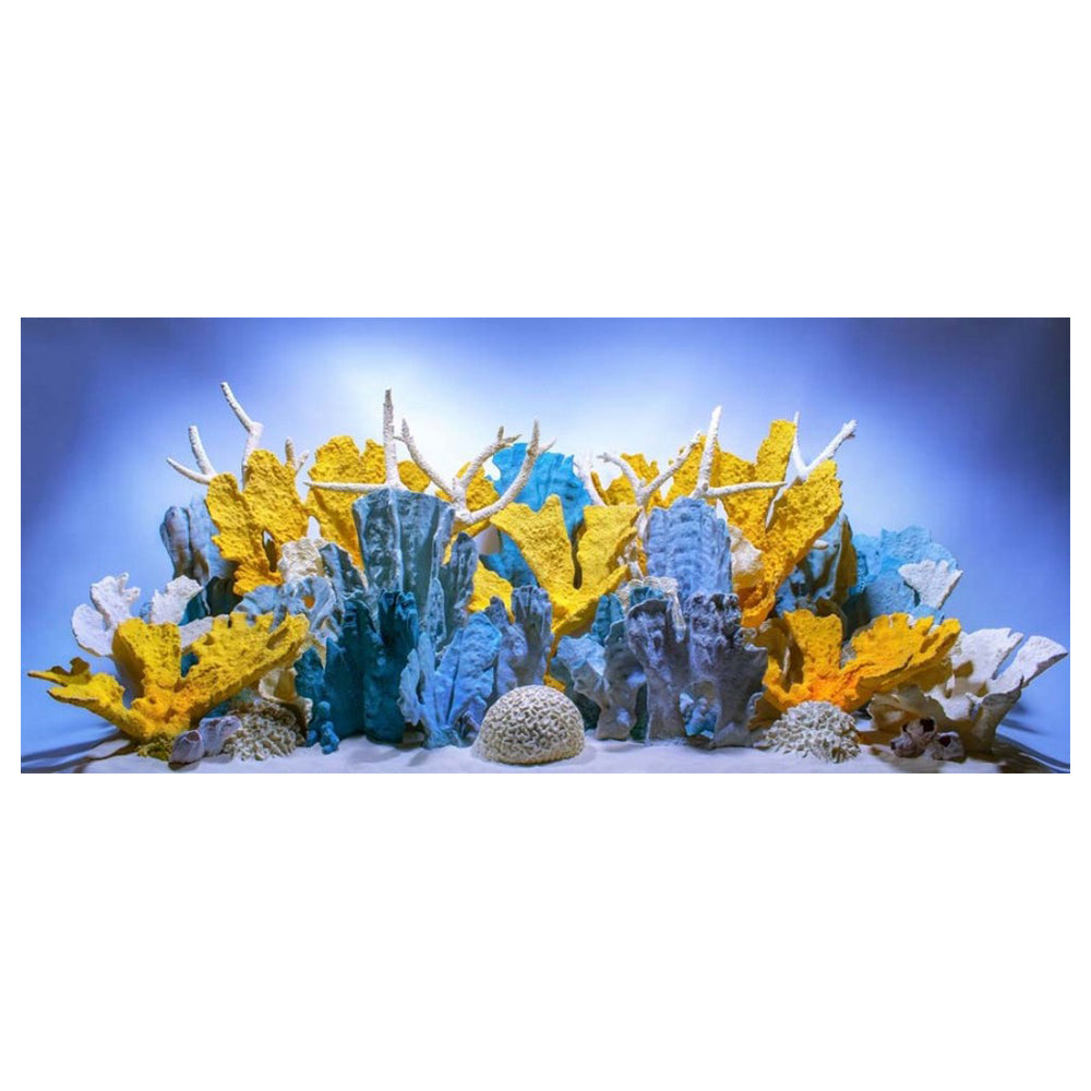 Seaview Double Sided Background Coral Bliss & Luscia Reef,  24 Inches X 50 Feet by Seaview