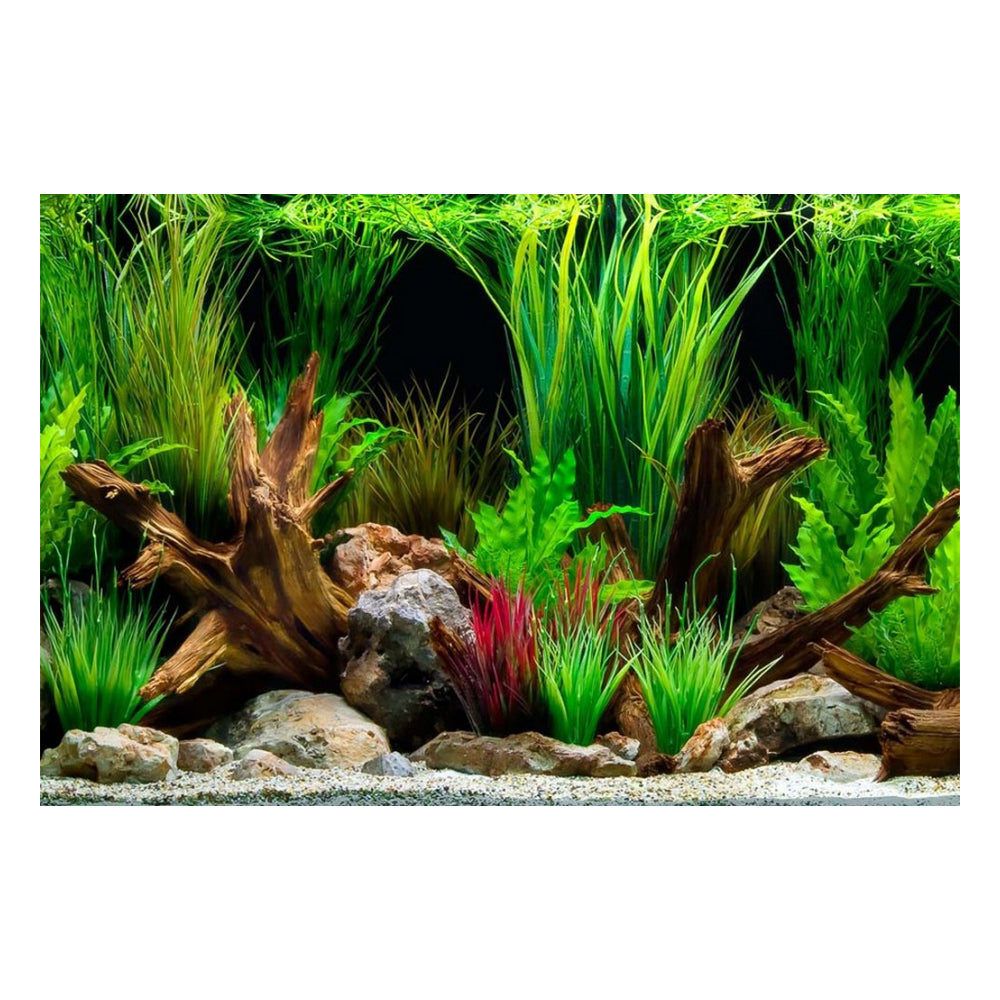 Seaview Double Sided Background Wonderscape & Cloudstone,  18 Inches X 50 Feet by Seaview