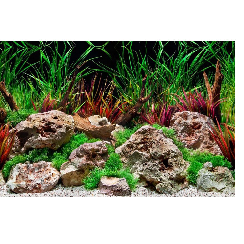 Seaview Double Sided Background Aquawild & Slateways,  24 Inches X 50 Feet by Seaview
