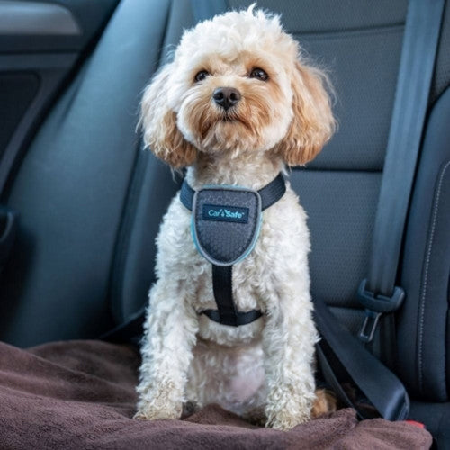 Carsafe Dog Travel Harness ExtraSmall,Black by Halti