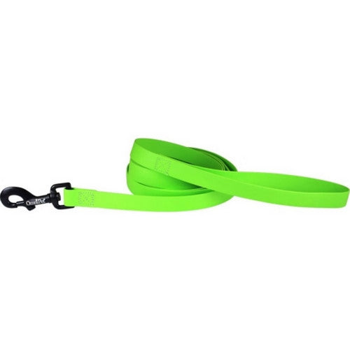 Omni Pet, Carnival Biothane Dog Lead, 3/4 Inches X 6 Feet,Lime Green