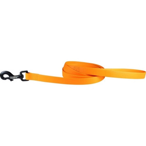 Carnival Biothane Dog Lead 3/4 Inches X 6 Feet,Orange by Omni Pet