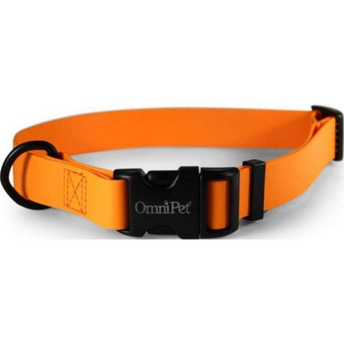 Carnival Biothane Dog Collar 1 X 18 X 26 Inches,Orange by Omni Pet
