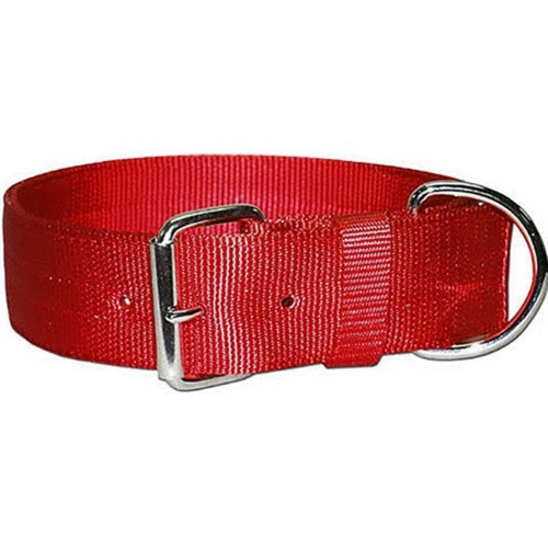 Bravo 2 Ply Nylon Dog Collar 2 X 21 Inches,Red by Omni Pet