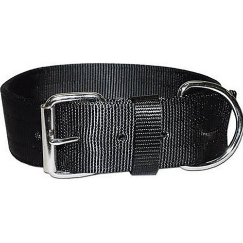 Bravo 2 Ply Nylon Dog Collar 2 X 25 Inches,Black by Omni Pet