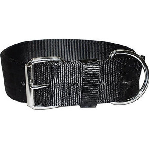 Bravo 2 Ply Nylon Dog Collar 2 X 27 Inches,Black by Omni Pet