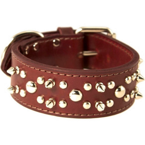 Omni Pet, Latigo Leather Spike/Stud Dog Collar, 1.75 X 26 Inches,Burgundy