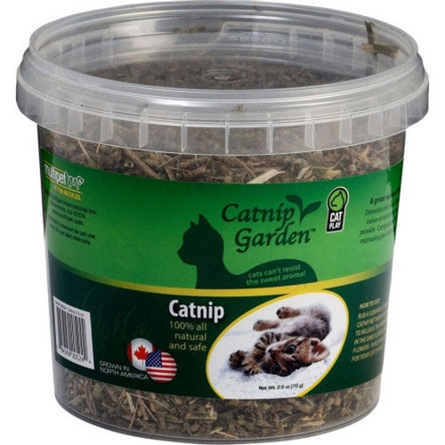 Multipet Catnip Garden Catnip Cup 2.5 Oz, Green by Multipet