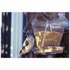 Window Cafe Bird Feeder .75 QT CAP,Clear by Hummzinger