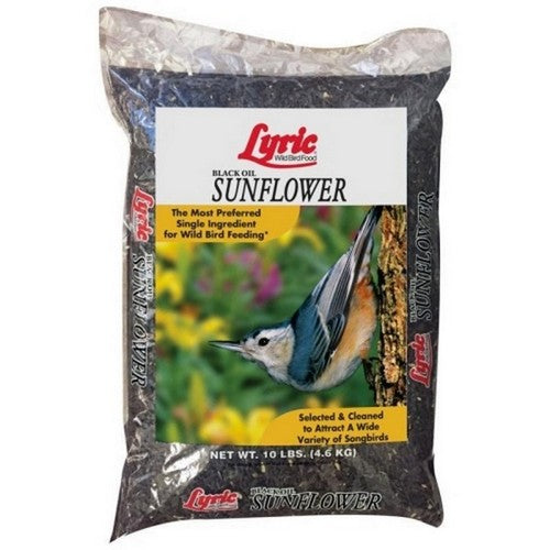 Lyric, Lyric Black Oil Sunflower, 10 Lbs (Case Of 4)