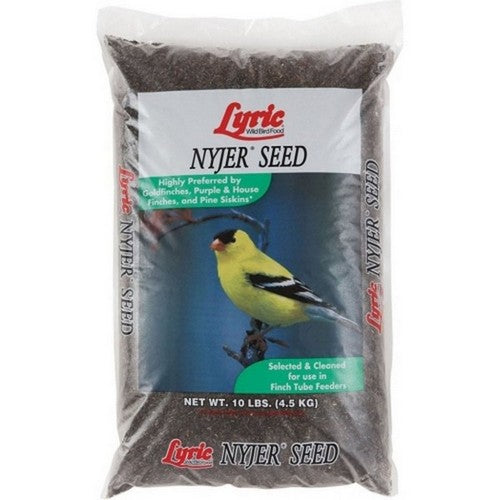 Lyric, Lyric Nyjer Seed, 10 Lbs (Case Of 4)