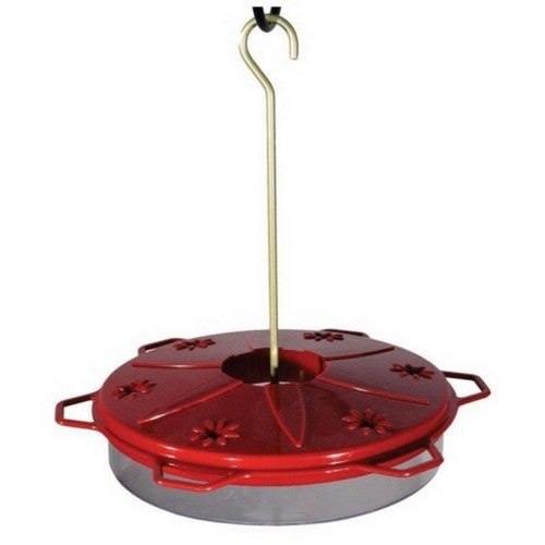 Classic Plastic Hummingbird Dish Feeder 12 Oz CAP, Red by Audubon