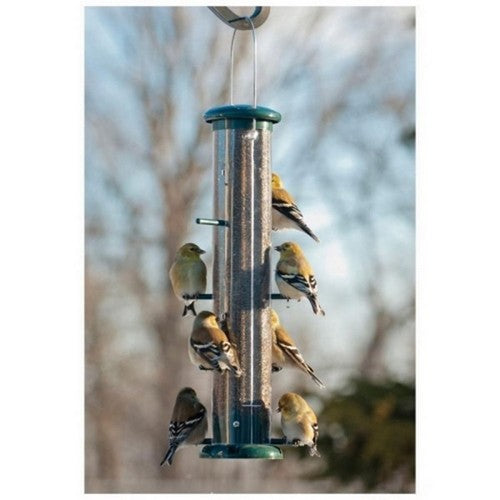 Plastic 8-Port Finch Tube Feeder 2 Lbs CAP,Clear/Green by Audubon