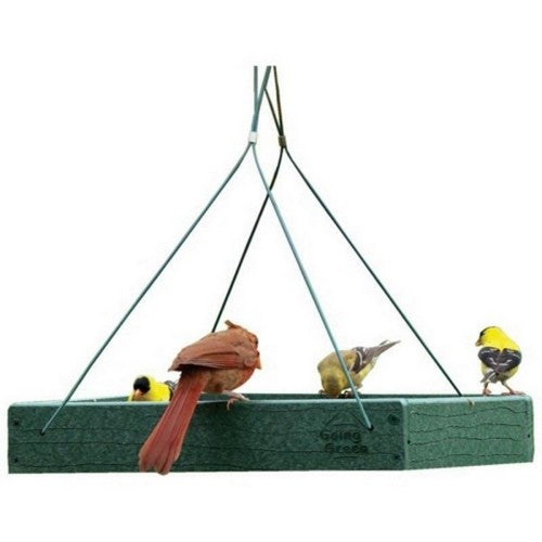 Audubon, Going Green Platform Feeder, 12.75X12.75X2.5,Green