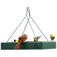 Going Green Platform Feeder 12.75X12.75X2.5,Green by Audubon