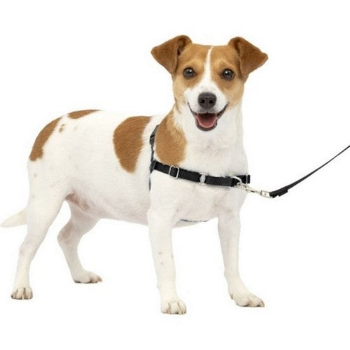 Petsafe Easy Walk Dog Harness Small,Charcoal by Sportdog