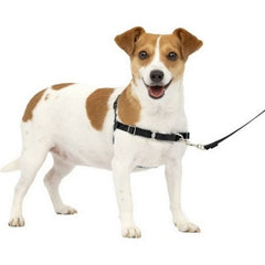 Petsafe Easy Walk Dog Harness Small,Charcoal by Sportdog