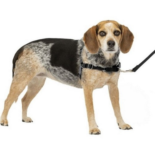 Petsafe Easy Walk Dog Harness SM/MD,Charcoal by Sportdog