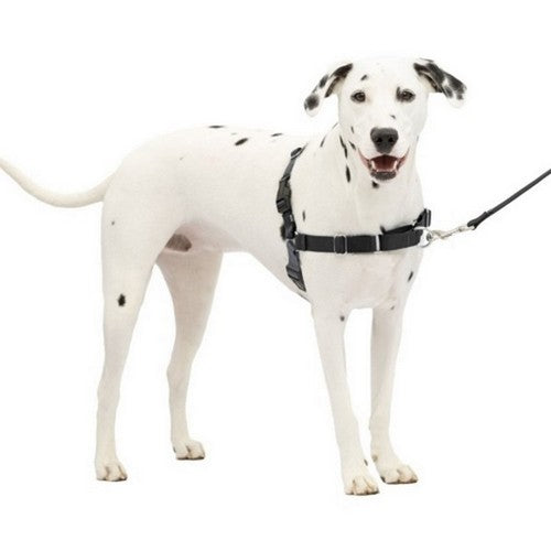 Petsafe Easy Walk Dog Harness Medium/LG,Charcoal by Sportdog