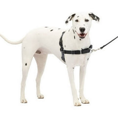 Petsafe Easy Walk Dog Harness Medium/LG,Charcoal by Sportdog