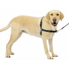 Petsafe Easy Walk Dog Harness Large,Charcoal by Sportdog