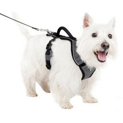 Petsafe Easysport Dog Harness Small,Charcoal by Sportdog