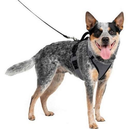 Petsafe Easysport Dog Harness Medium,Charcoal by Sportdog