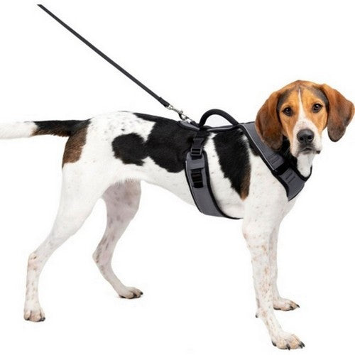 Petsafe Easysport Dog Harness Large,Charcoal by Sportdog