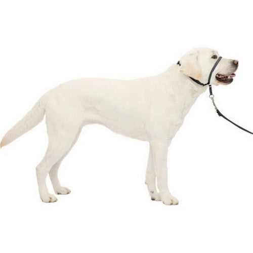 Petsafe Gentle Leader Headcollar Quick Release Large,Charcoal by Sportdog